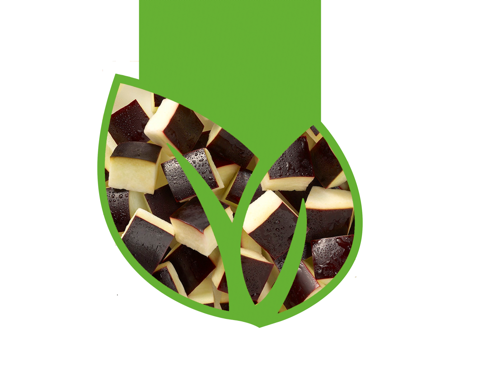 Frozen Aubergine – FRUVECO